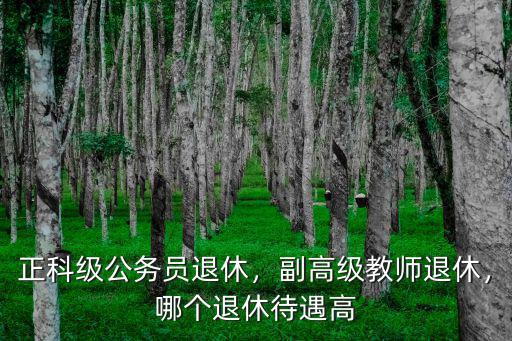 安徽省正科級退休公務(wù)員工資多少錢,正科級公務(wù)員退休