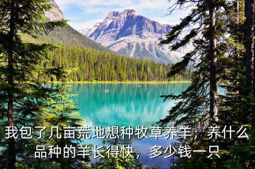 我包了幾畝荒地想種牧草養羊，養什么品種的羊長得快，多少錢一只