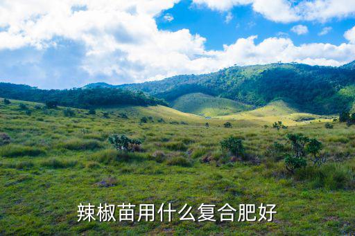 一棵辣椒苗要多少復(fù)合肥,辣椒苗用什么復(fù)合肥好