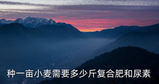 復合肥一畝小麥地追肥多少合適,小麥澆水前撒肥料效果好不好