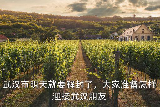 武漢市明天就要解封了，大家準備怎樣迎接武漢朋友