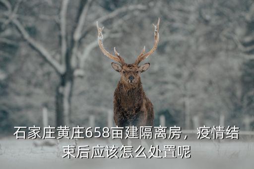 石家莊黃莊658畝建隔離房，疫情結束后應該怎么處置呢