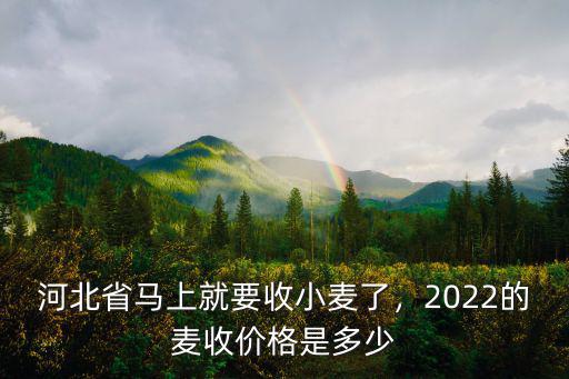 河北省馬上就要收小麥了，2022的麥收價格是多少
