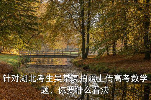 湖北考生上傳數學題是怎么做到的,怎么去刷高中數學題