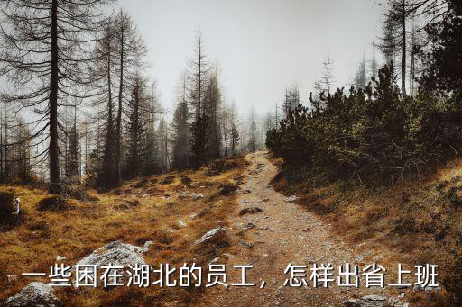 一些困在湖北的員工，怎樣出省上班