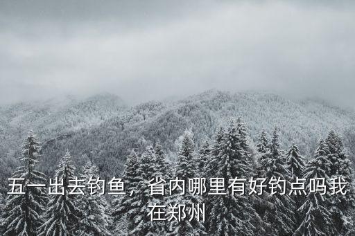 鄭州西區(qū)哪里去釣魚,在鄭州周邊釣魚