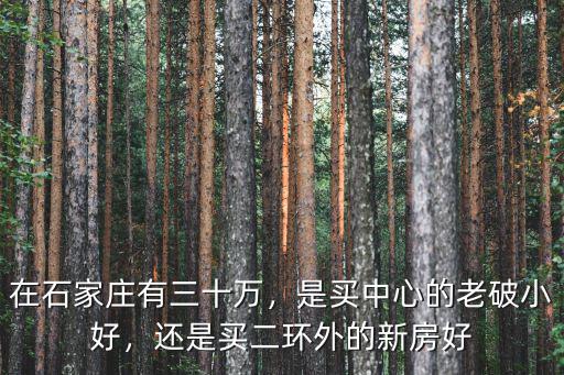 石家莊二環內 有多少菜市場,石家莊有哪些菜市場