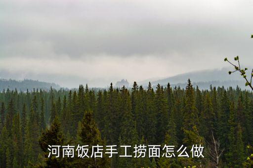 河南手工面條怎么做好吃簡單,河南飯店手工撈面怎么做