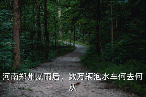 河南鄭州暴雨后，數萬輛泡水車何去何從