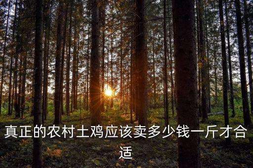 安徽土雞苗多少錢一斤,現在土雞價格多少錢一斤