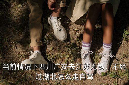 當前情況下四川廣安去江蘇無錫，不經(jīng)過湖北怎么走自駕