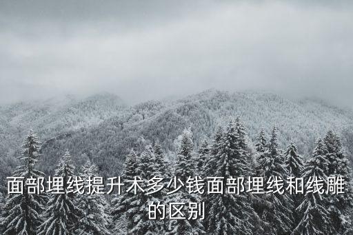 淮北埋線多少錢,面部埋線提升術(shù)多少錢