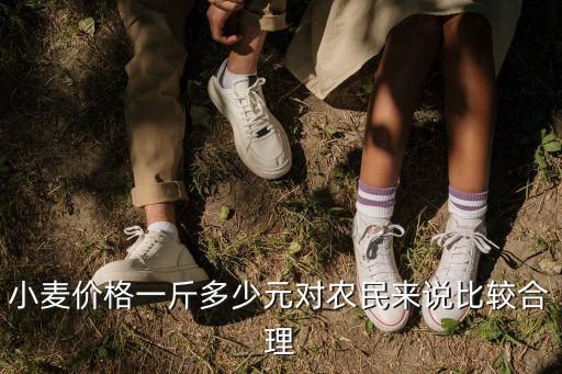 小麥價格一斤多少元對農民來說比較合理