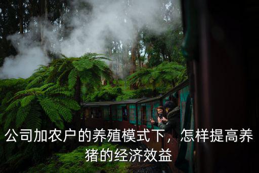 公司加農戶的養殖模式下，怎樣提高養豬的經濟效益