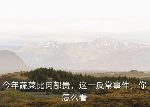 洛陽市的菜價今年怎么這么貴,為什么今年菜價那么貴