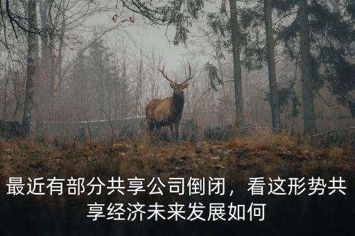 河北共享經(jīng)濟公司有多少錢,最近有部分共享公司倒閉