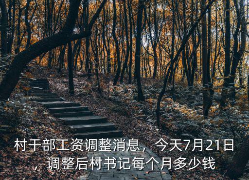 河北省辛集市村主任工資多少,河北省省平均工資是多少