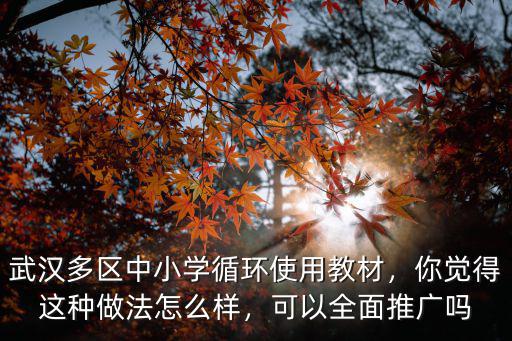 武漢漢南小學怎么樣,武漢這個城市怎么樣