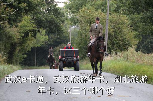 湖北旅游卡怎么辦,湖北旅游年卡