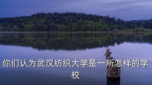 怎么樣保研武漢紡織大學(xué),武漢紡織大學(xué)