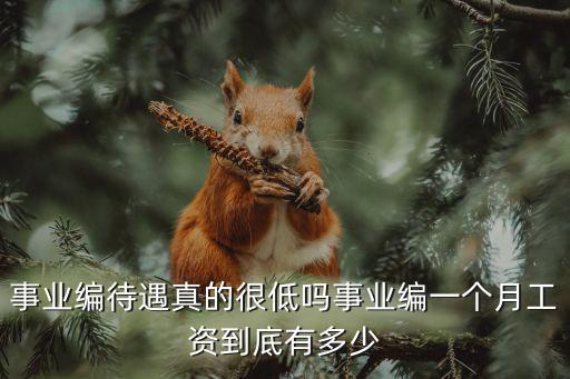 滄州市事業編待遇多少,事業編待遇真的很低嗎