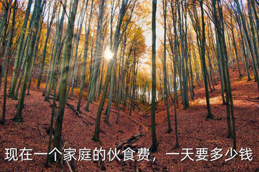 邢臺二中火食一個月多少錢,一天要多少錢