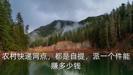 農村快遞網點，都是自提，派一個件能賺多少錢