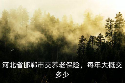 河北省邯鄲市交養老保險，每年大概交多少