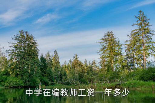 中學(xué)在編教師工資一年多少