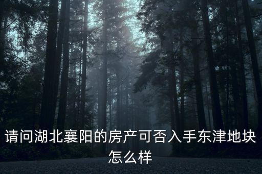 請問湖北襄陽的房產可否入手東津地塊怎么樣