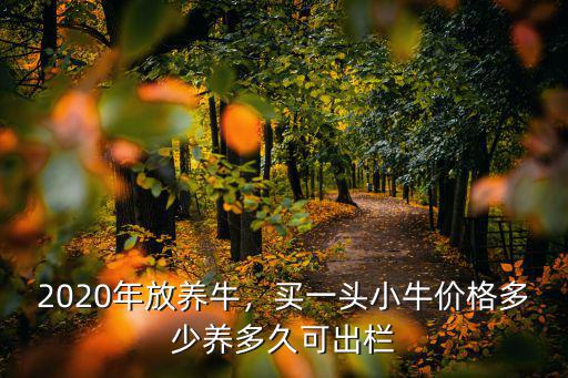 安徽阜陽有牛養(yǎng)小牛多少錢一頭,九十年代一頭牛多少錢