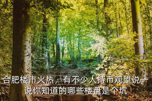 合肥樓市火熱，有不少人持幣觀望說一說你知道的哪些樓盤是個坑