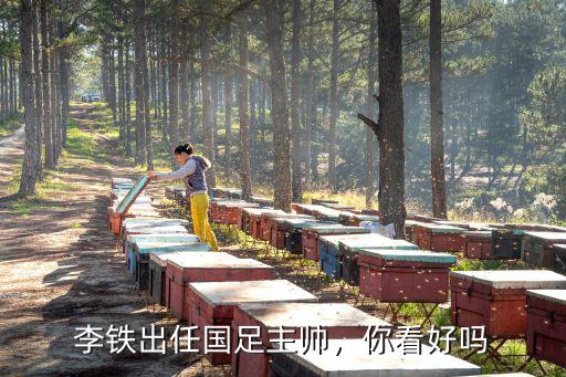 李鐵出任國足主帥武漢卓爾怎么辦,李鐵出任國足主帥