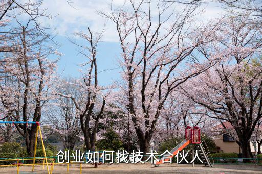 武漢怎么找創業合伙人,創業如何找技術合伙人