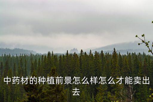 中藥材的種植前景怎么樣怎么才能賣出去
