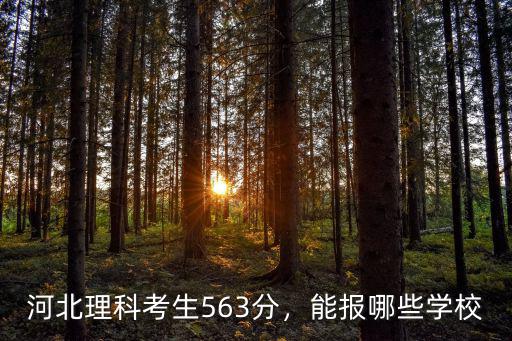 河北理科考生563分，能報哪些學校