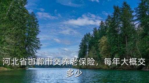 河北社保繳費每年漲幅多少,河北養老金上調多少