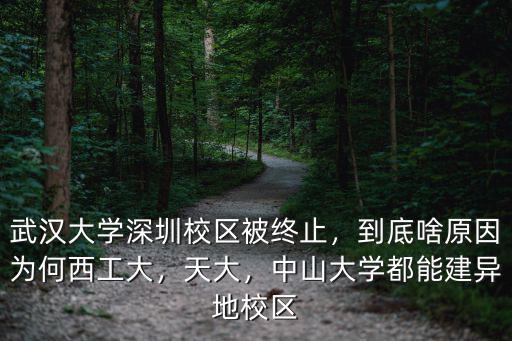 武漢大學(xué)深圳校區(qū)被終止，到底啥原因為何西工大，天大，中山大學(xué)都能建異地校區(qū)