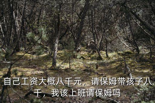 自己工資大概八千元，請保姆帶孩子八千，我該上班請保姆嗎