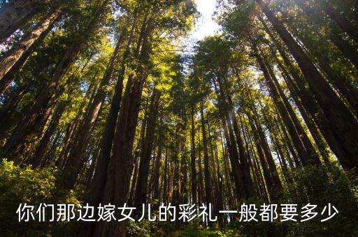 阜陽臨泉嫁女兒要多少彩禮,一般要多少彩禮