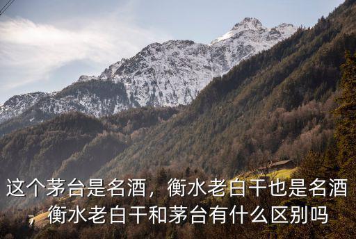 這個(gè)茅臺(tái)是名酒，衡水老白干也是名酒，衡水老白干和茅臺(tái)有什么區(qū)別嗎
