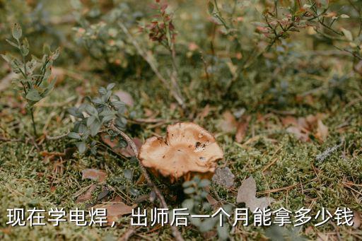 安徽懷遠工資焊工工資多少錢,出師后一個月能拿多少錢