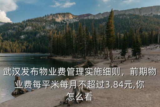 武漢怎么查詢物業費,武漢五戶業主未交物業費