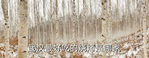 武漢燒烤鋪面怎么找,去武漢柏泉開燒烤店