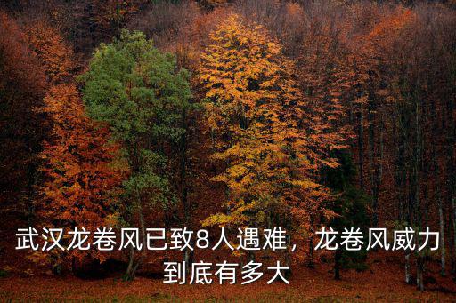 武漢龍卷風已致8人遇難，龍卷風威力到底有多大