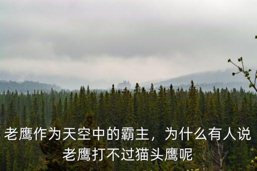 老鷹作為天空中的霸主，為什么有人說(shuō)老鷹打不過(guò)貓頭鷹呢