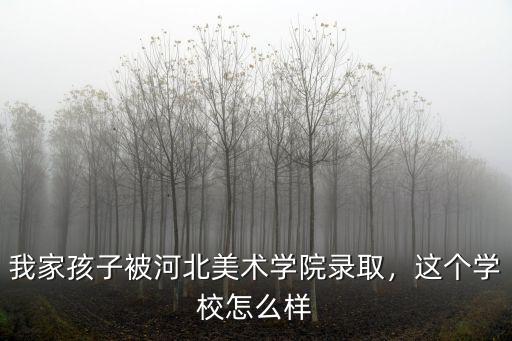 我家孩子被河北美術(shù)學(xué)院錄取，這個(gè)學(xué)校怎么樣