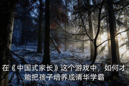 中國(guó)式家長(zhǎng)黃岡密卷怎么快速獲得,中國(guó)式家長(zhǎng)激活碼怎么激活