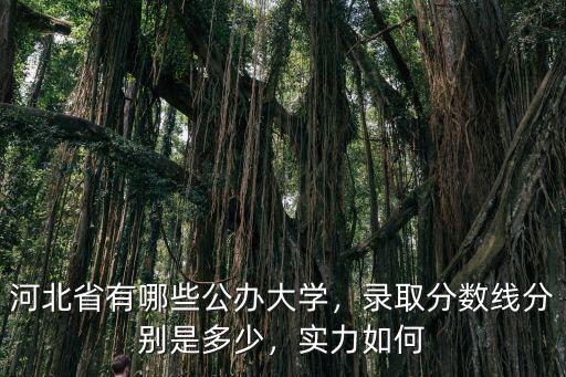 河北知名大學(xué)入取分?jǐn)?shù)是多少錢,錄取分?jǐn)?shù)線分別是多少