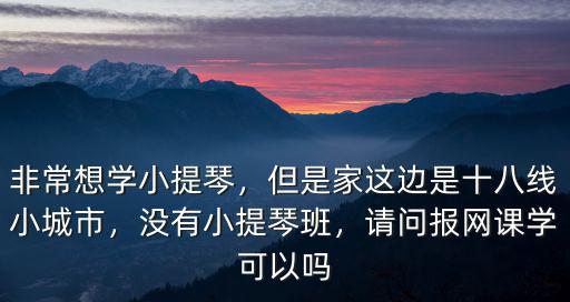 德陽學小提琴在哪里學,學小提琴最難的是什么